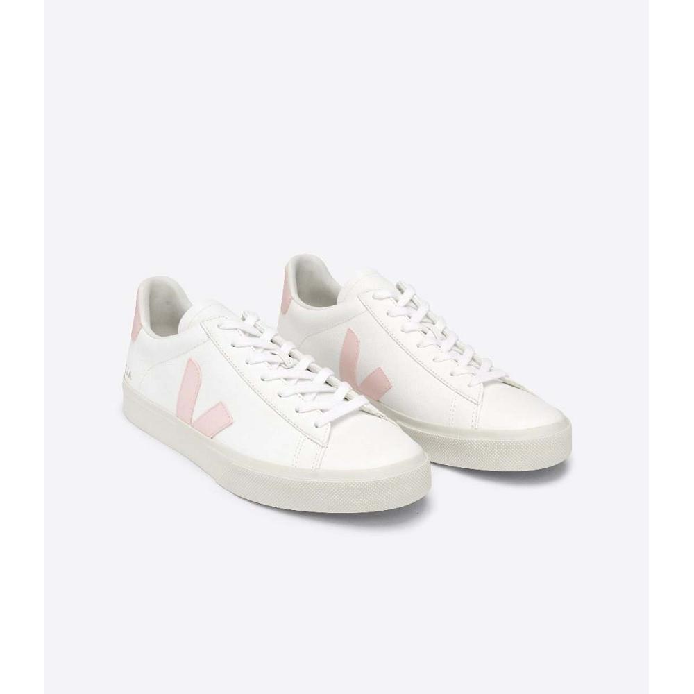 White/Pink Women's Veja CAMPO CHROMEFREE Low Tops Sneakers | AU 463KOR